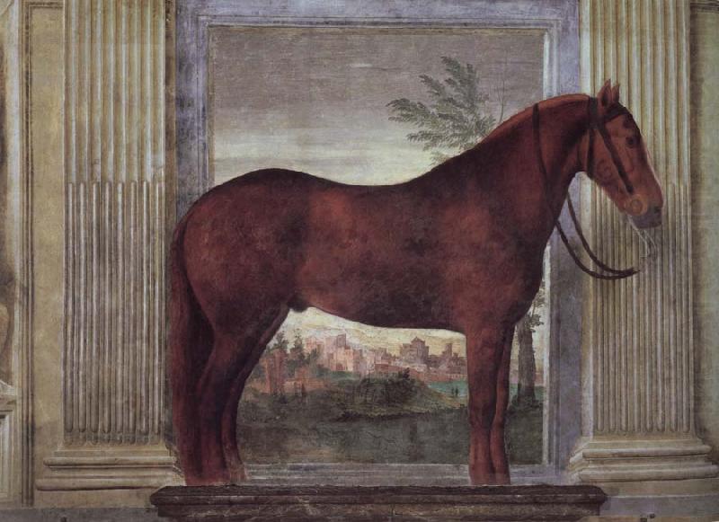 Drawing-rooms dei Cavalli, Giulio Romano